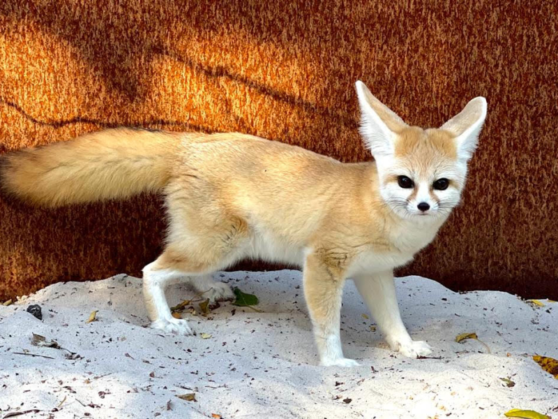 Marnie-gate is eindelijk&nbsp;voorbij!